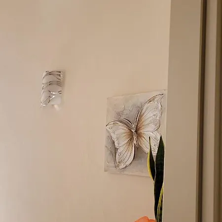 Housenovoliflorence *